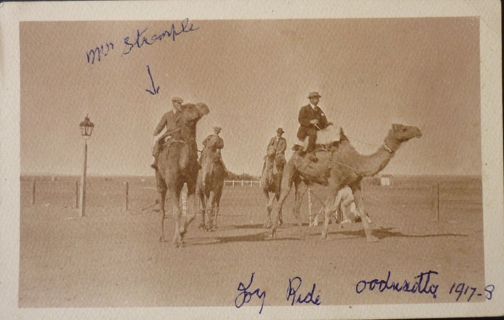 1917 Oodnadatta Deve Gezisi: Tarihi Sepya Fotoğrafta Avustralya Macerası