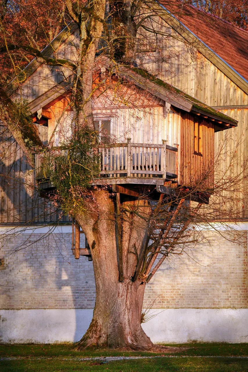 Ağaç evde rustik balkon - akşam ışığı