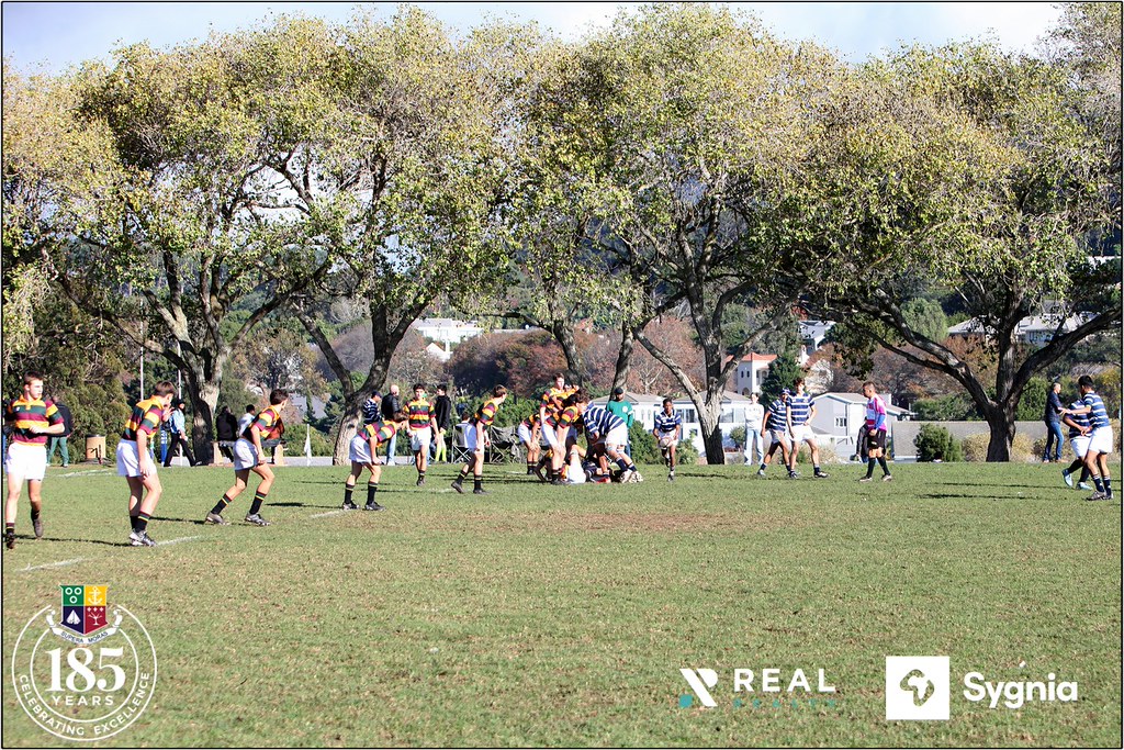Ağaçların Gölgesindeki Rugby Sahasında Takım Oyunu ve Doğal Atmosfer