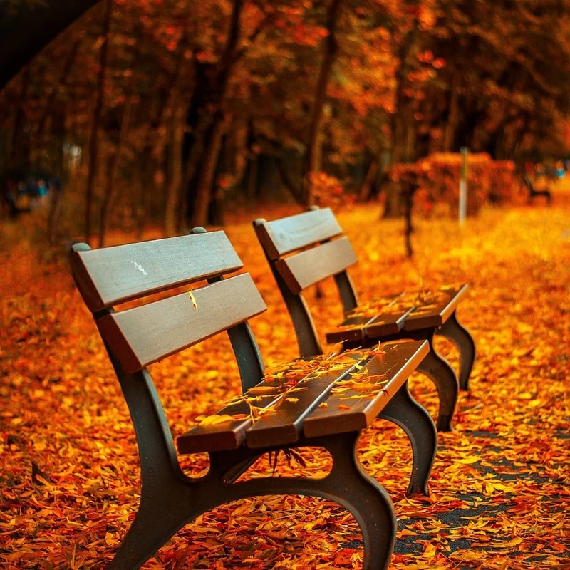 Ağır Yük Parkı