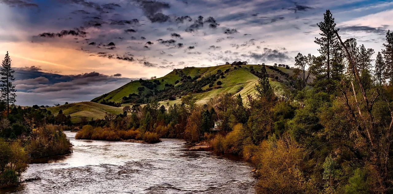 Akarsu ve sonbahar orman manzarası - kırsal güzellik
