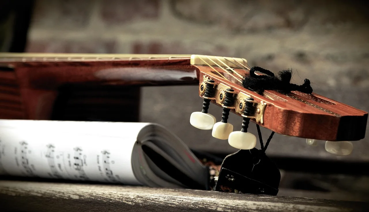 Akustik gitar sapı ve telleri - yakından detay