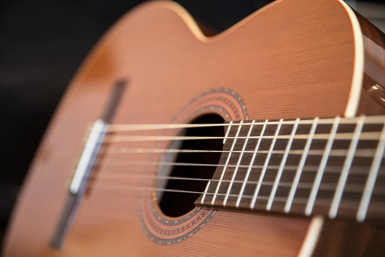 Akustik gitar telleri yakın çekim müzik enstrümanı