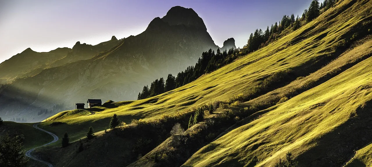 Alp dağları manzaralı yeşil çayır - yüksek yayla