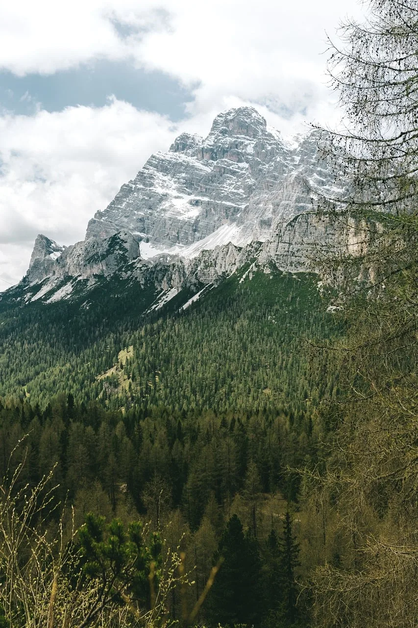 Alpler'in bulutlu zirvesi - doğa fotoğrafı