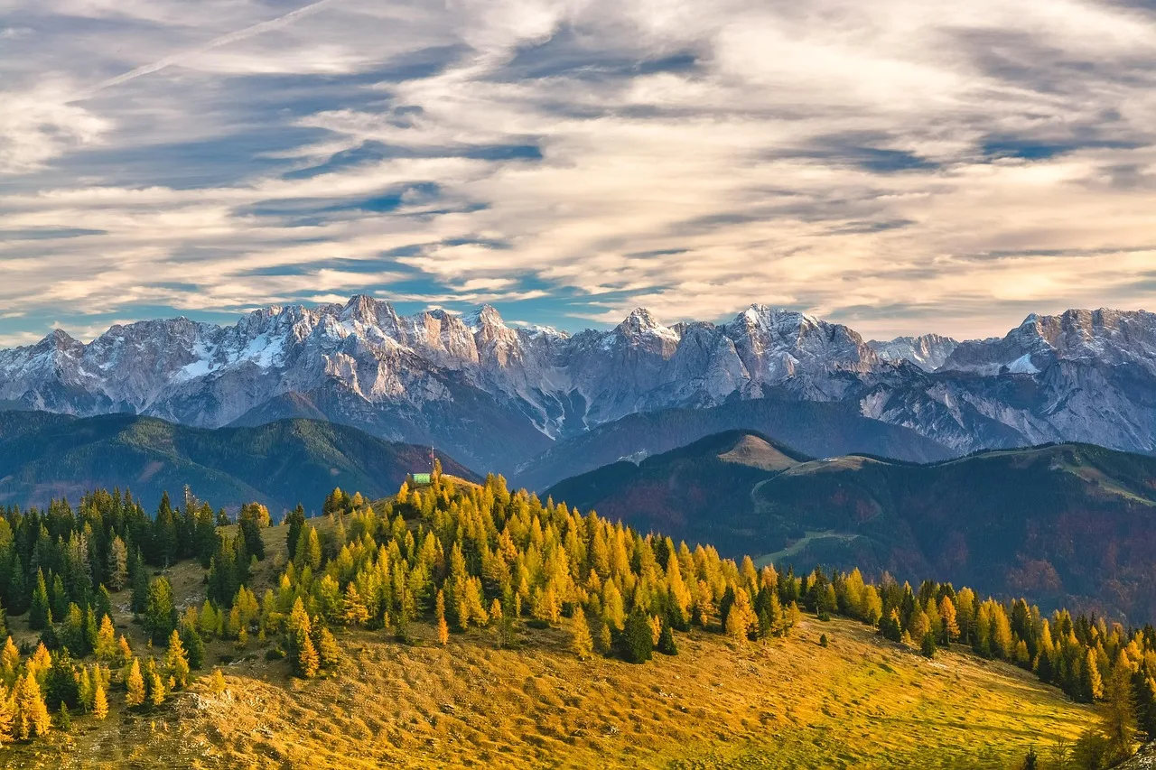 Alpler ormanlık dağ silueti - panoramik manzara fotoğrafı