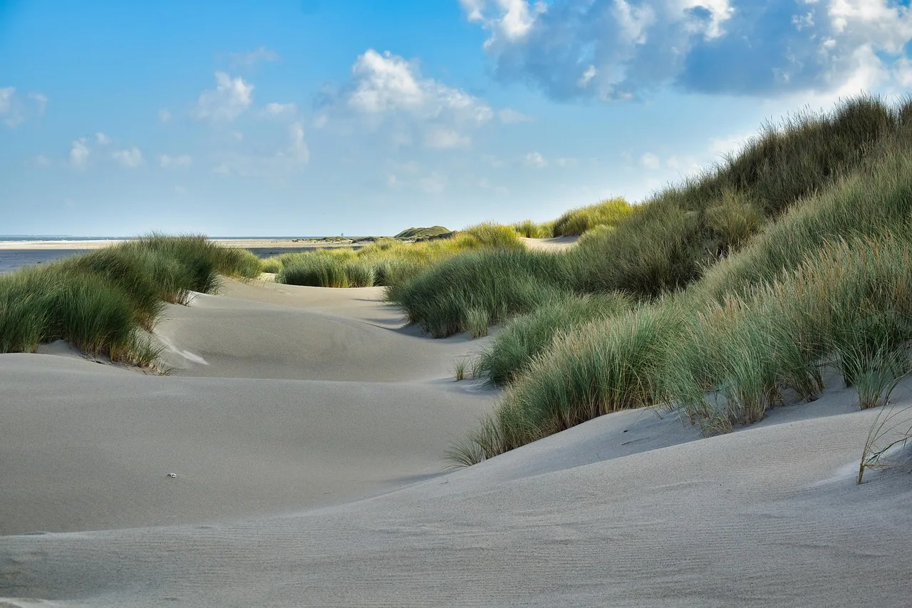 Ameland sahili çimlerle bezenmiş kumsal manzarası