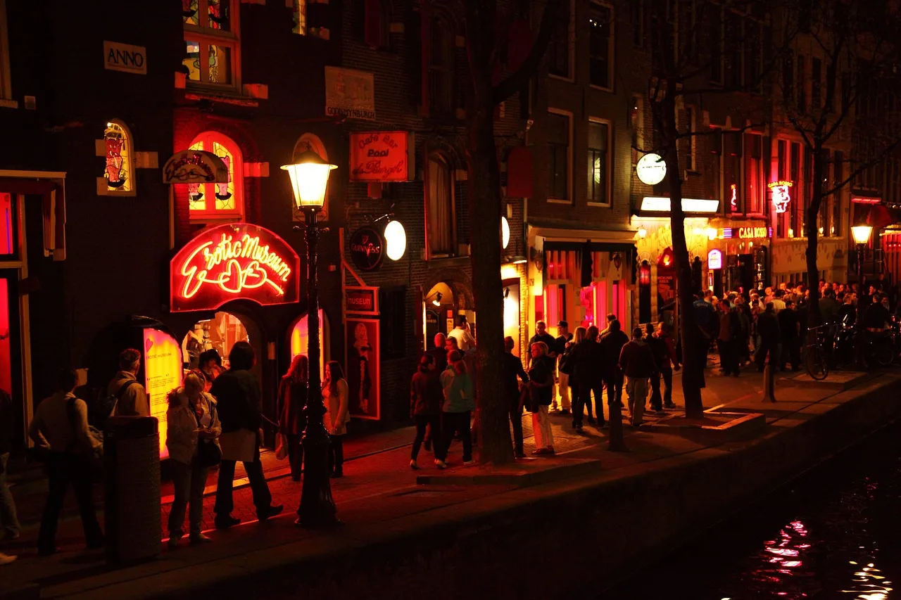 Amsterdam kanalı şehir manzarası gece ışıkları