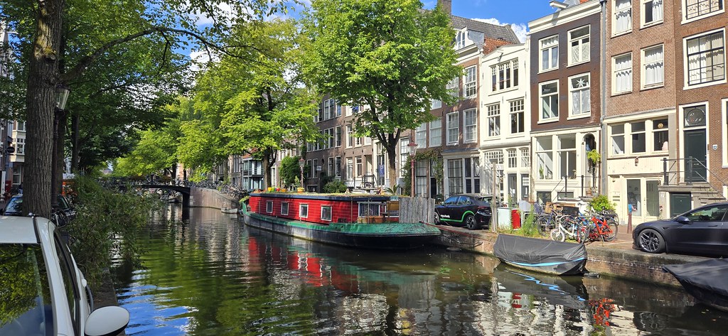 Amsterdam Kanalında Yaz Güneşi Altında Renkli Tekne ve Yemyeşil Ağaç Manzarası