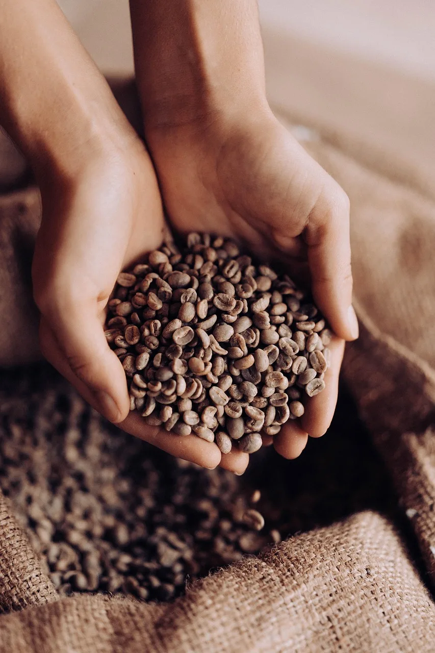 Arabica kahve çekirdeği makro çekimi - zengin aromalı