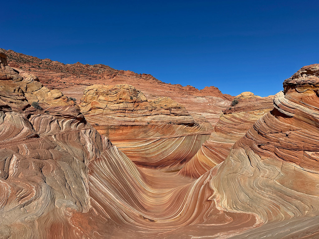Arizona Çölünün Ünlü The Wave Kaya Formasyonunda Renkli Tabakalar ve Derin Mavi Gökyüzü