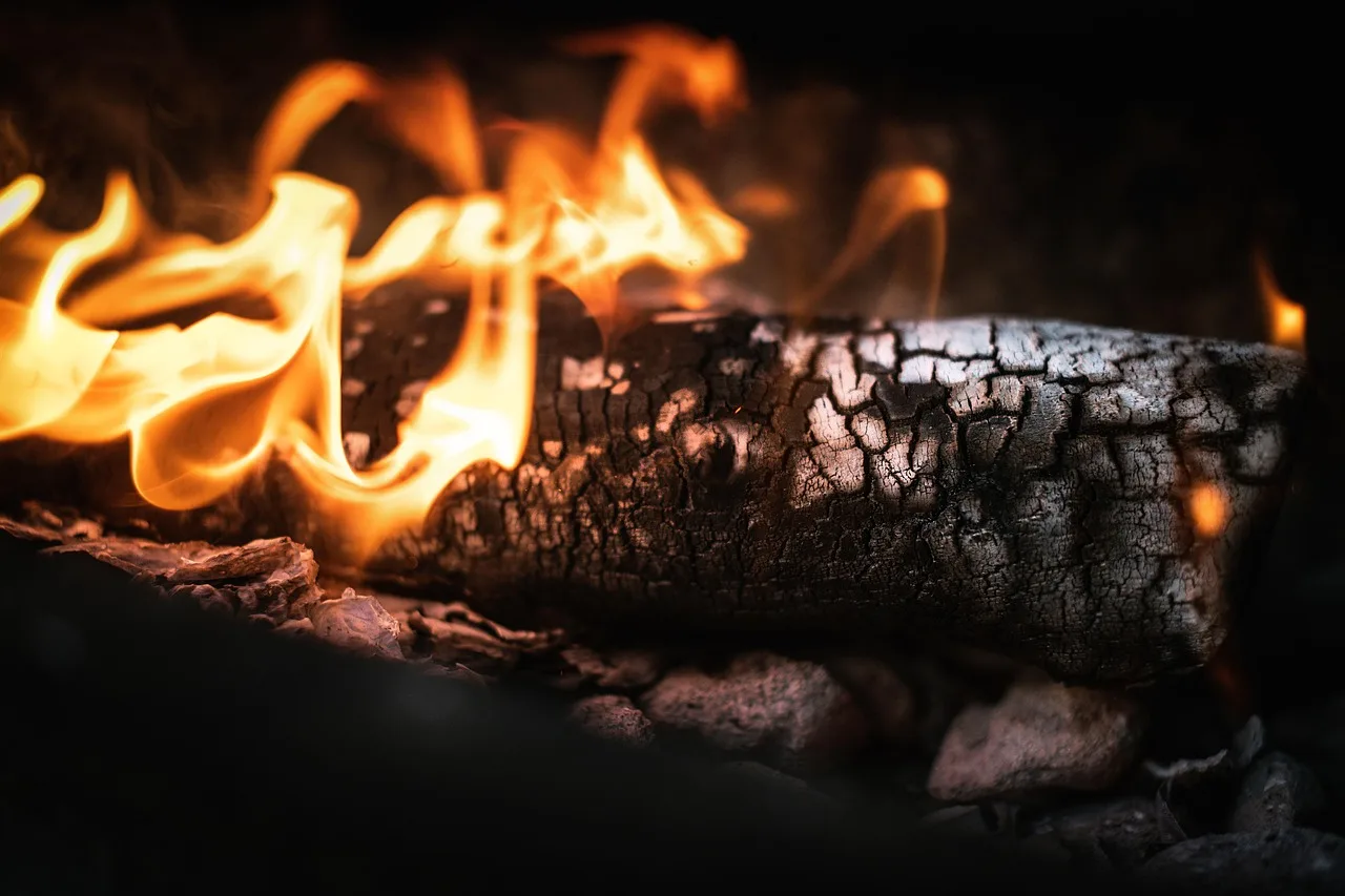 Ateşli odun yığını barbekü ortamı - sıcak anlar