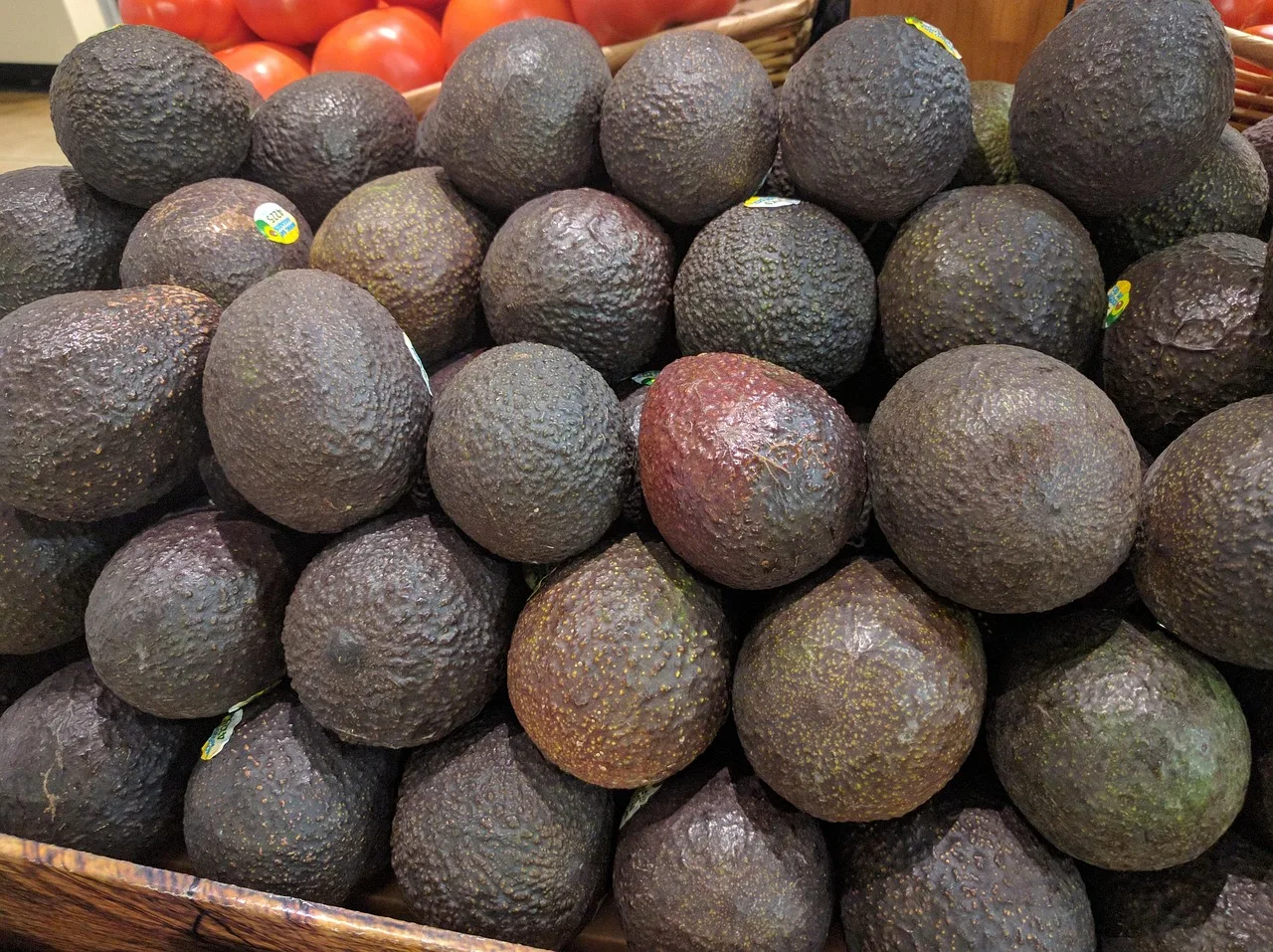 Avokado ve guacamole tezgahı - sağlıklı market fotoğrafı