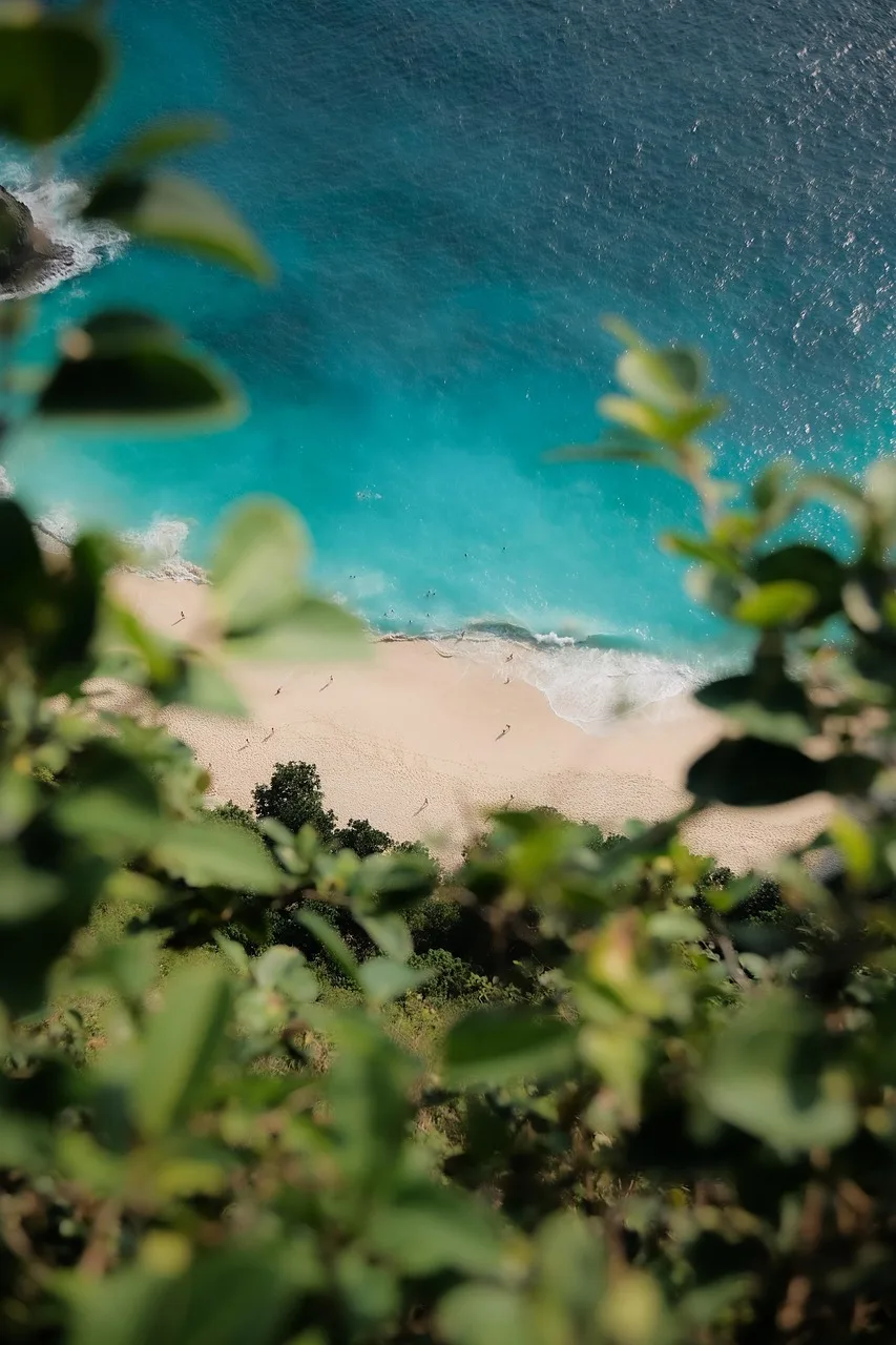 Bali plajı ve Nusa Penida ormanı - tropik cennet