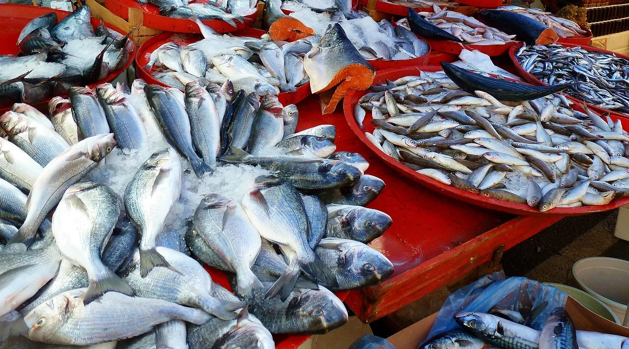 Balık Pazarı tezgâhı - taze deniz ürünleri