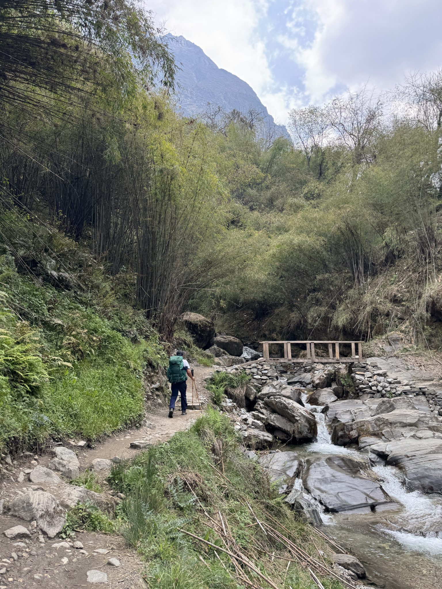 Bambu Ormanları ve Dağ Eteklerindeki Saklı Patikada Huzurlu Bir Yürüyüş