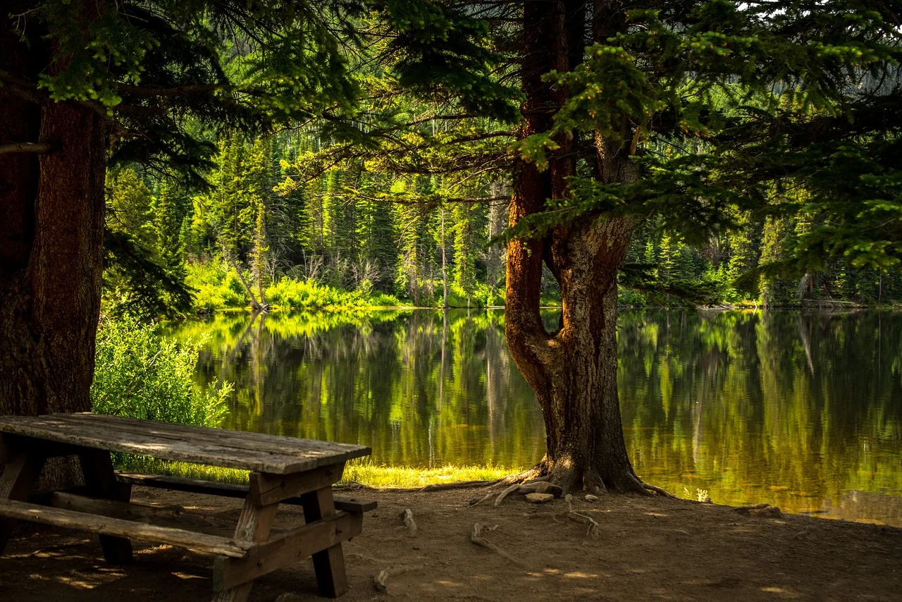 Bankta oturmuş göl manzaralı park fotoğrafı