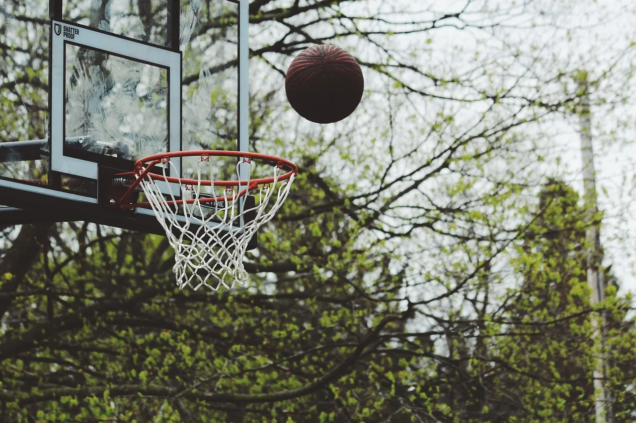 Basketbol sahası ağaçlı yeşil açık alan
