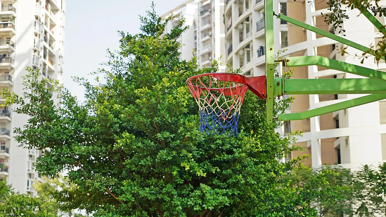 Basketbol sahasında bahar güneşi - canlı ortam