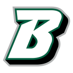 Binghamton logosu