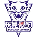 Shenzhen logosu