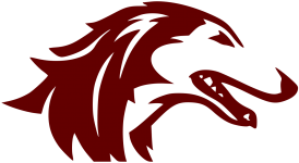 Southern Illinois logosu