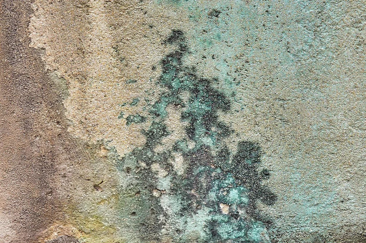 Beton duvar kaplaması - modern doku detayı