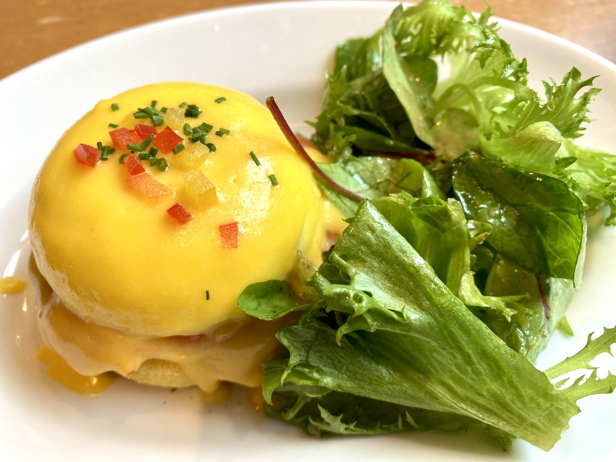 Beyaz tabakta hollandaise soslu yumurta Benedict ve yeşil salata sunumu