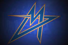 Vienna Metrostars