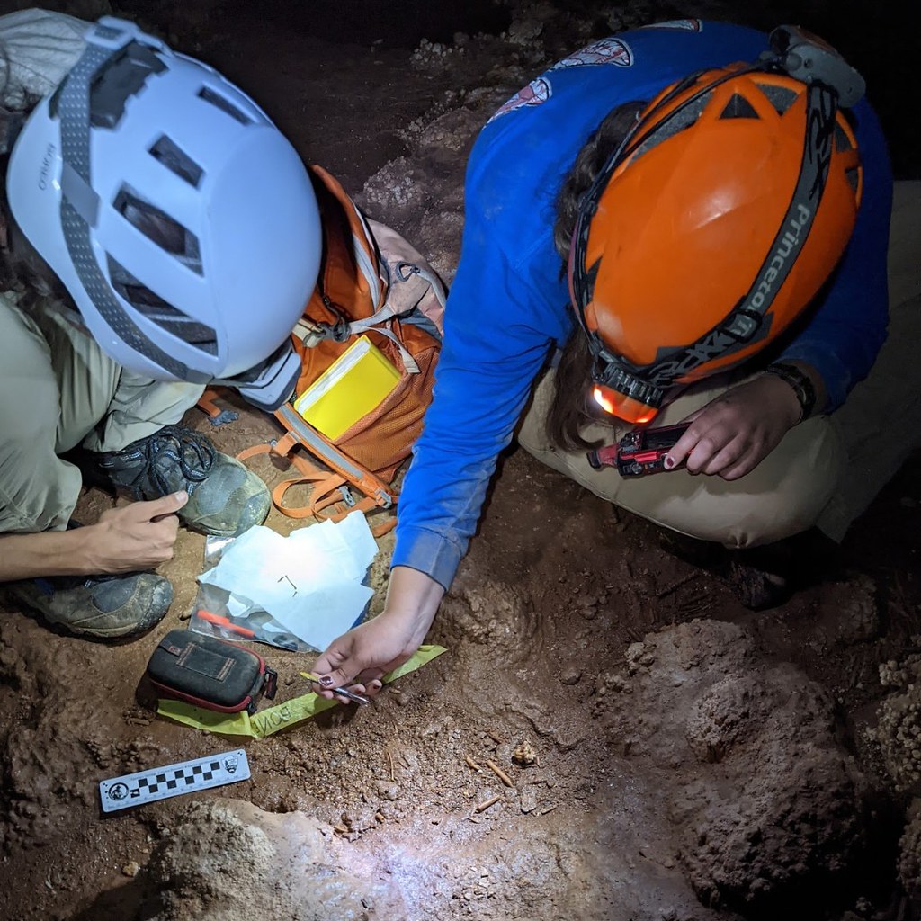 Bilim İnsanları Mağarada Arkeolojik Kazı Yaparak Antik Kalıntıları İnceliyor