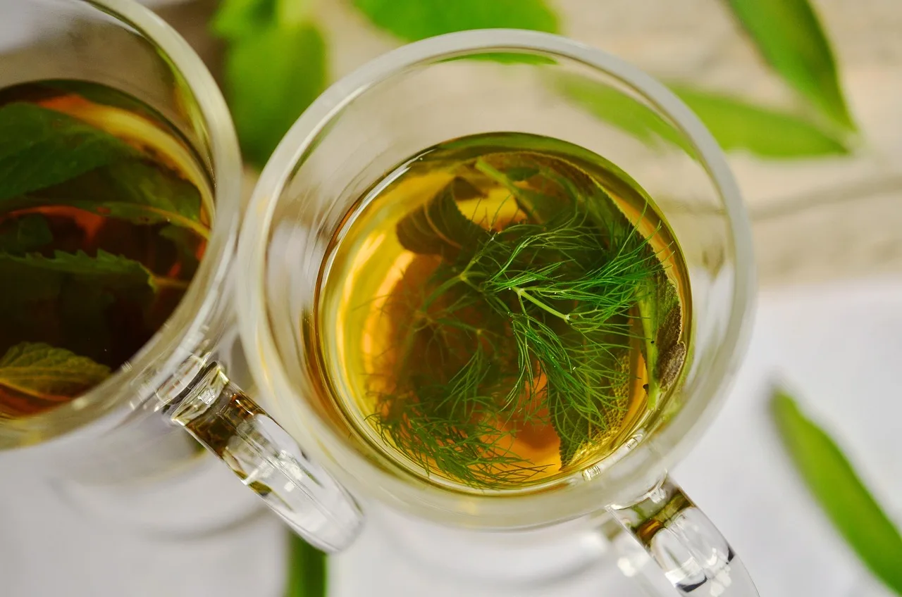 Bitkisel çay aromalı nane ve rezene karışımı
