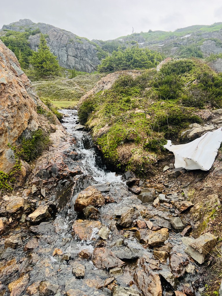 Bulutlu Dağların Gizli Vadisinde Kayalar Arasından Süzülen Berrak Dere