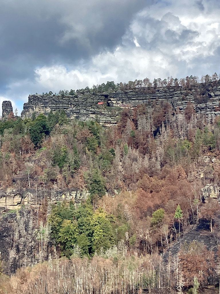 Bulutlu Gökyüzü Altında Kayalık Yamaç ve Sonbahar Renklerinde Orman Manzarası