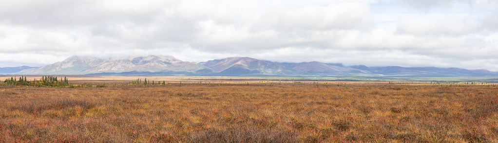 Bulutlu Gökyüzü Altında Sonbahar Renklerinde Tundra ve Dağ Panoraması