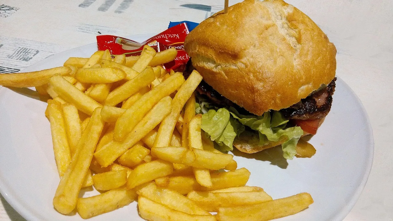 Burger tabakta kızarmış patates - hızlı yemek
