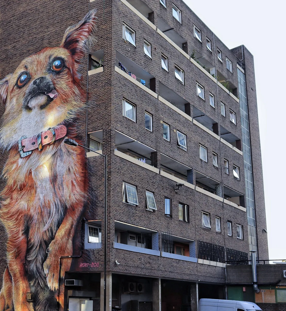 Büyük şehir duvarında ironik köpek grafiti