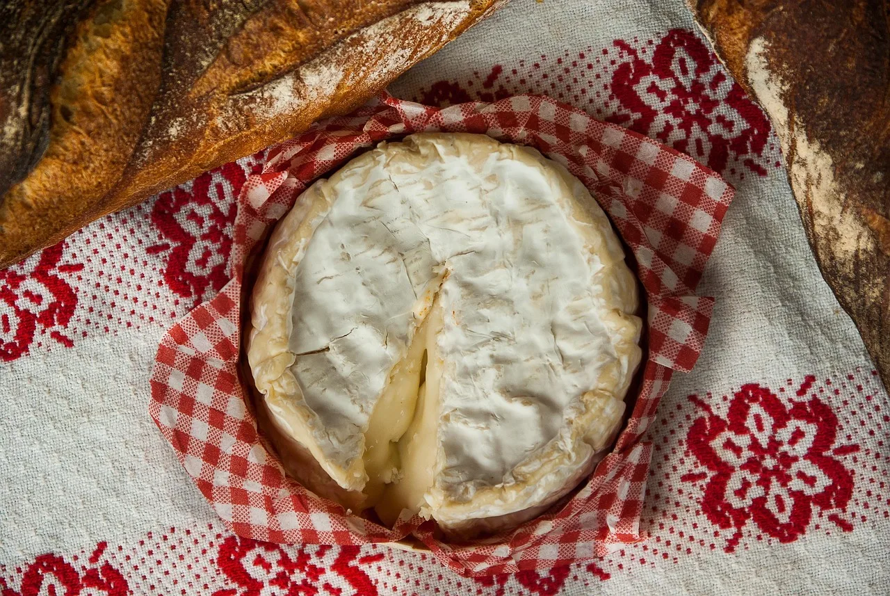 Camembert peyniri fabrikada üretim süt ve peynir