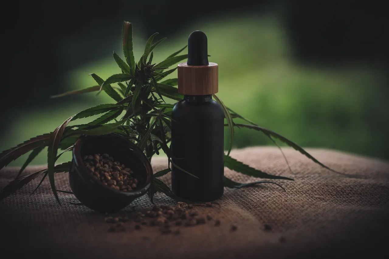 CBD yağı şişesi ve kenevir yaprağı stok fotoğrafı