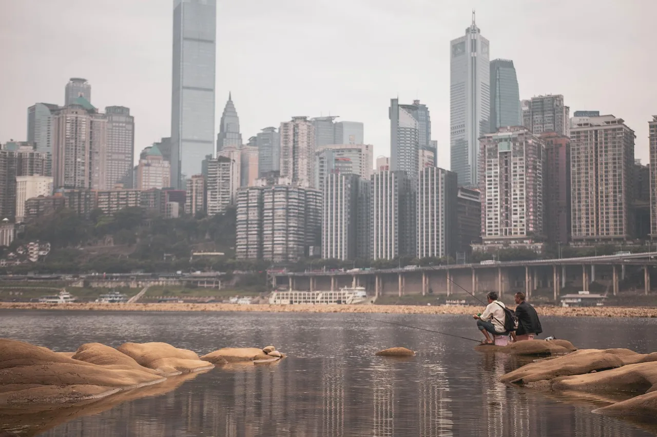 Chongqing şehir silueti - gri mimari ve balıkçılık