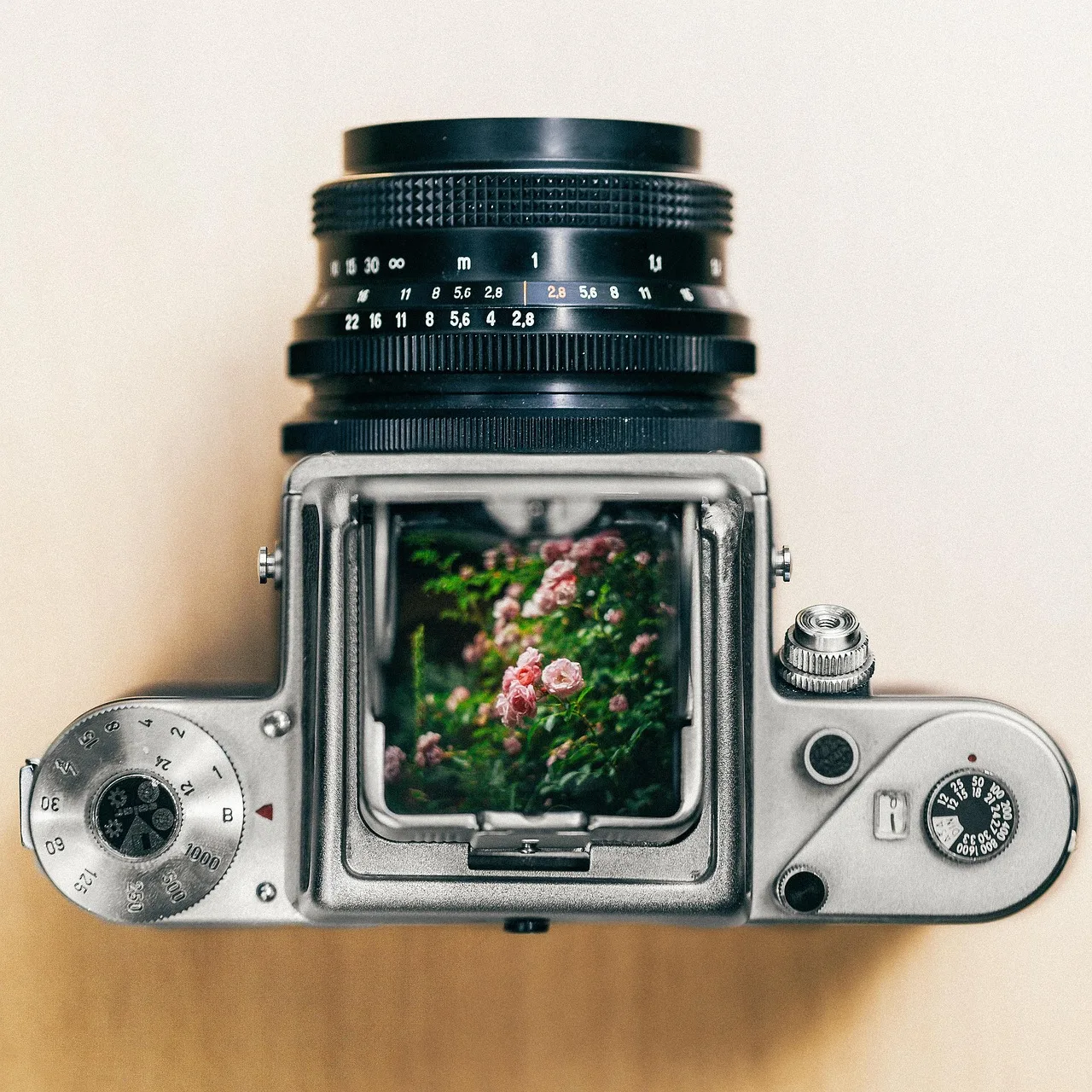 Çiçekler ve doğa temalı fotoğraf duvar kağıdı