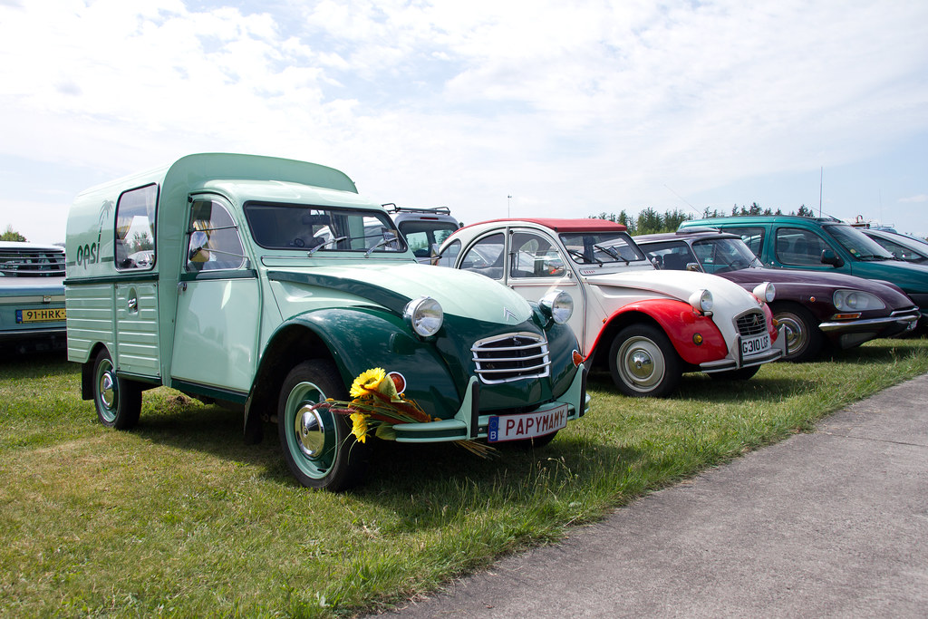 Çimenlik alanda sergilenen nostaljik citroën klasikleri ve retro otomobil koleksiyonu