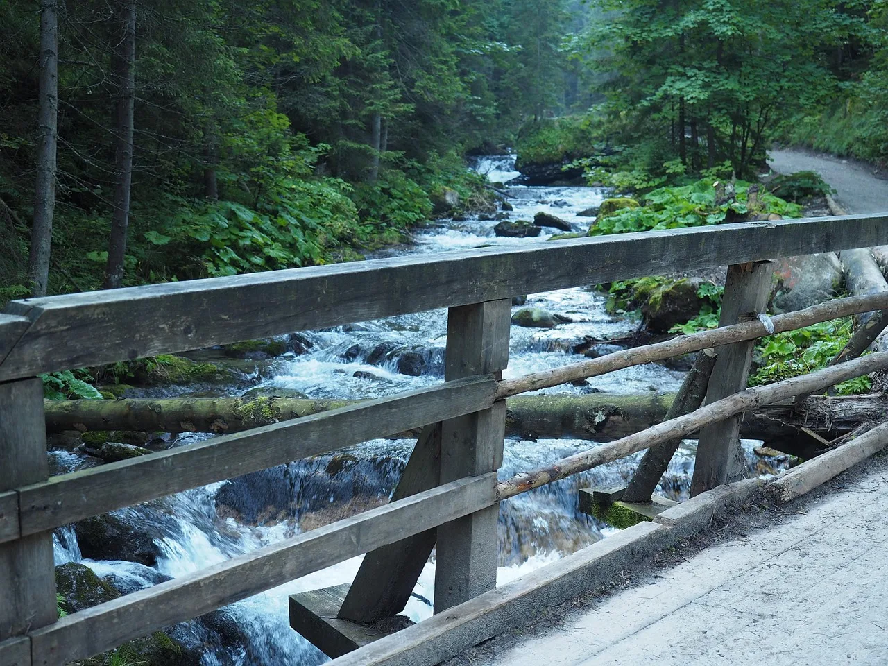 Dağ akıntısı ve patika - Tatra yürüyüşü fotoğrafı