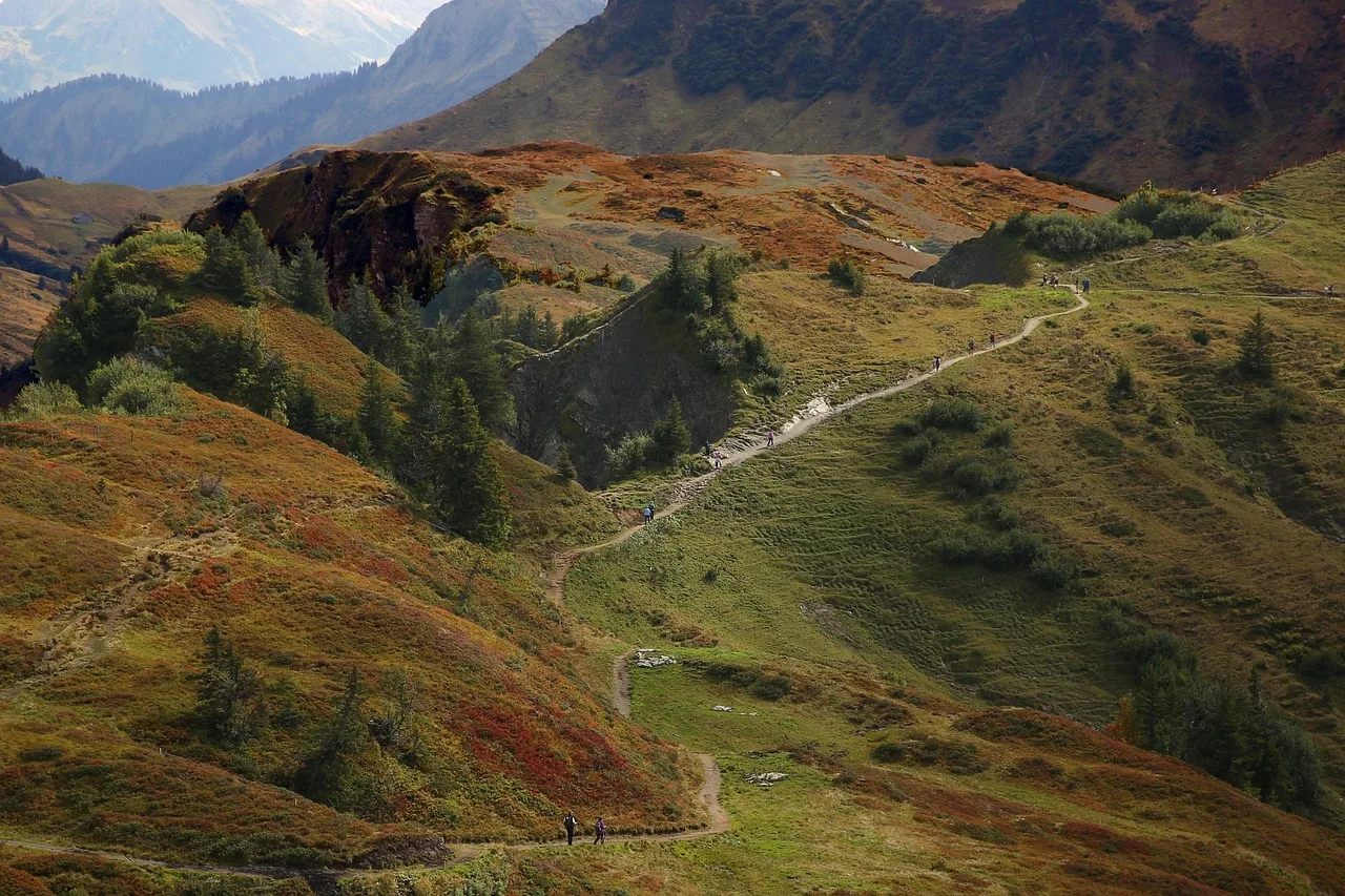 Dağ manzarası panoramik doğa görüntüsü - alp ve orman