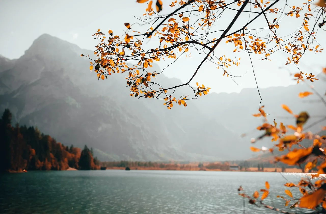 Dağ manzarası ve yeşil vadi fotoğrafı