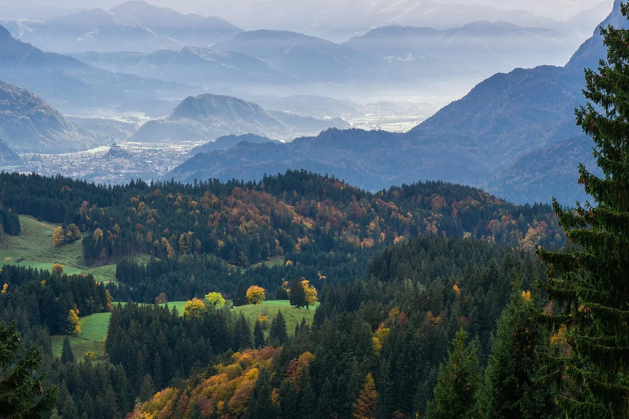 Dağlı sonbahar manzarası panoramik fotoğraf