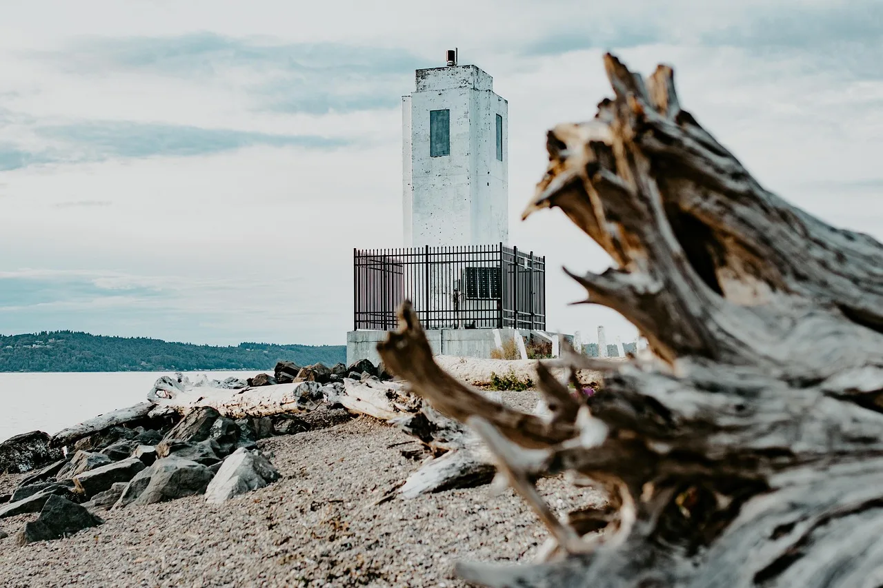 Deniz feneri sahil manzarası - kumsal ve kayalar
