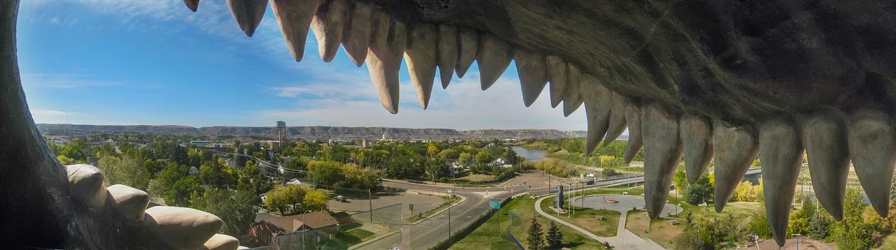 Dino fosili kayalıkta - Alberta manzarası