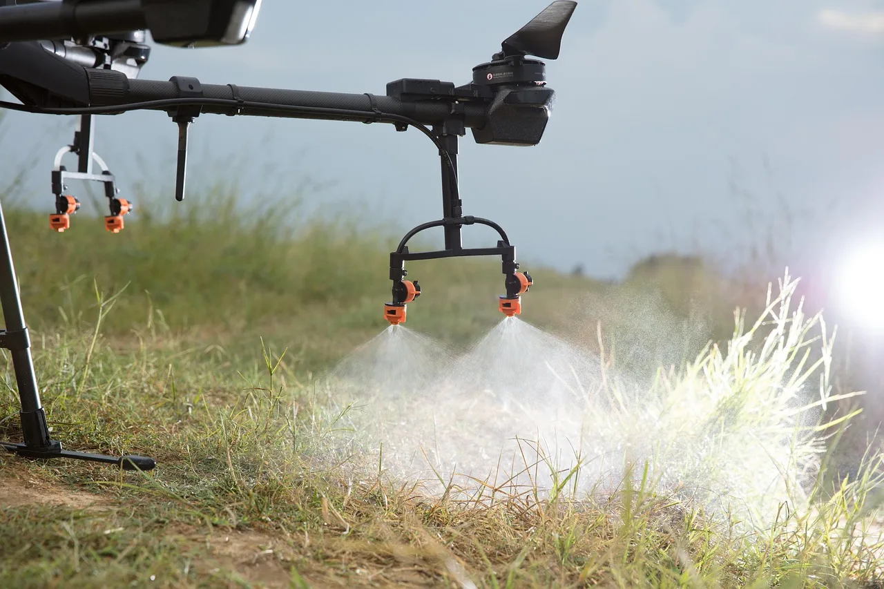 DJI tarım dronu t16 pirinç tarlası fotoğrafı
