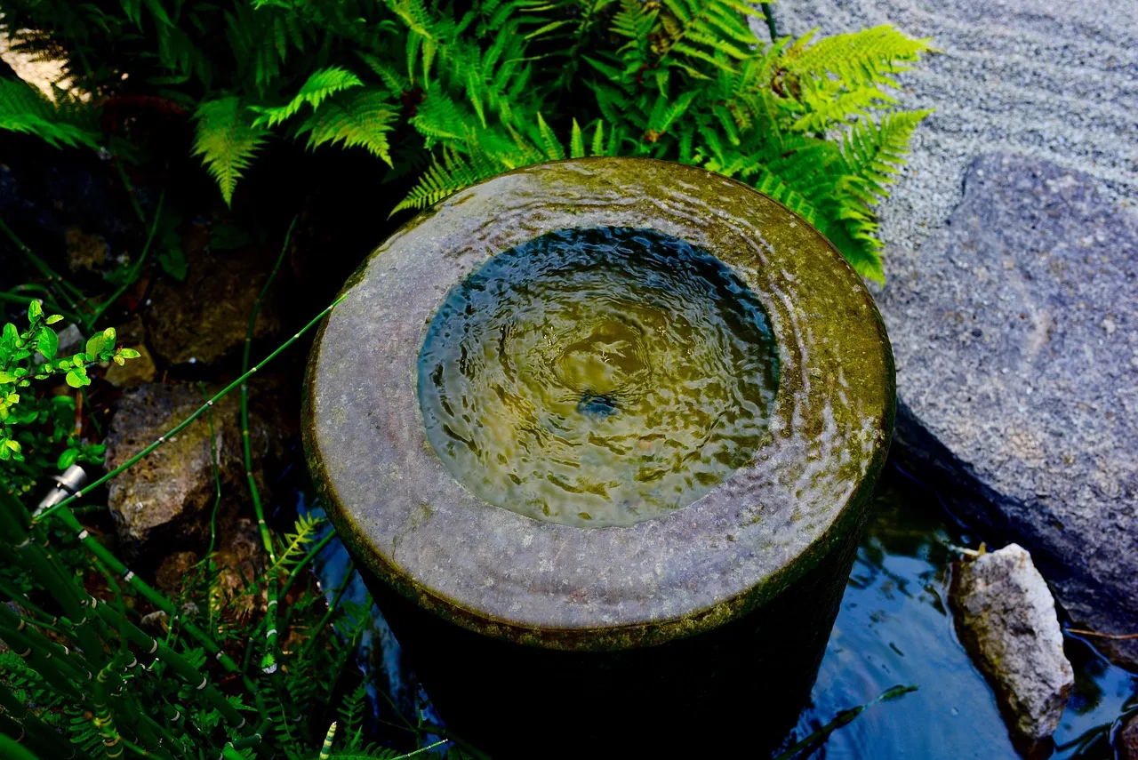 Doğada meditasyon ve yoga sakinlik anı