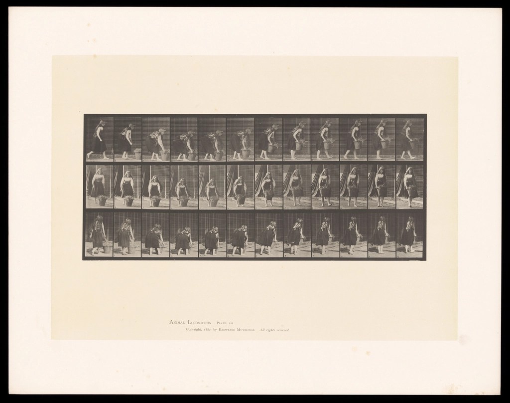Eadweard Muybridge kronofotografi plağı: 19. yüzyıl kadın hareket analizi Eadweard Muybridge kronofotografi plağı: 19. yüzyıl kadın hareket analizi